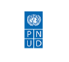 PNUD logo